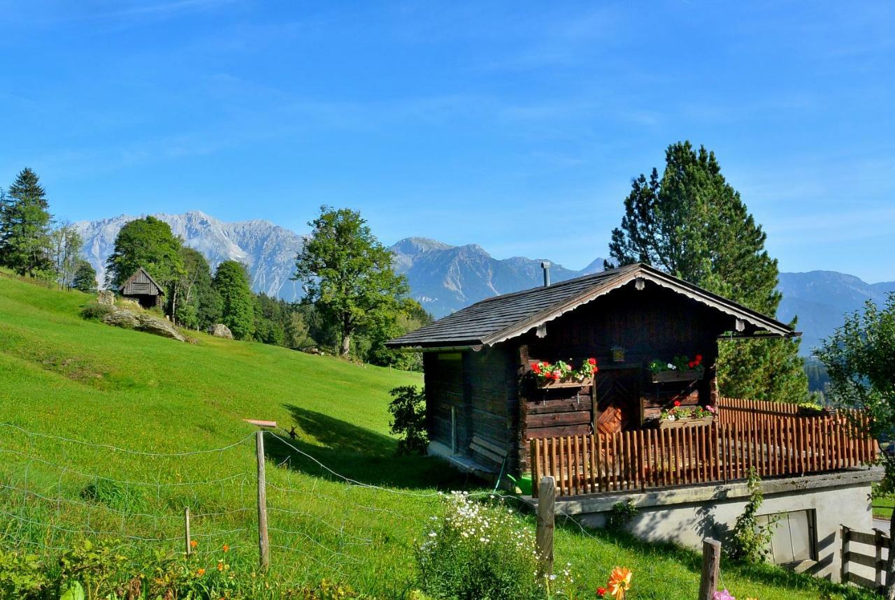 Biobauernhof Talhammer Rohrmoos Exteriör bild
